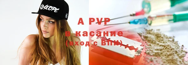 ГАЛЛЮЦИНОГЕННЫЕ ГРИБЫ Белокуриха