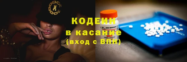 ГАЛЛЮЦИНОГЕННЫЕ ГРИБЫ Белокуриха