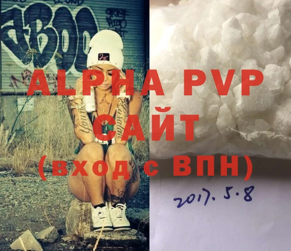 ГАЛЛЮЦИНОГЕННЫЕ ГРИБЫ Белокуриха