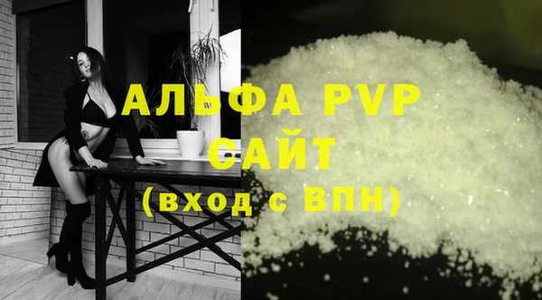 молекула духа Елизово